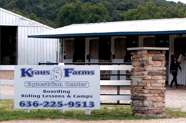 Kraus Farms, Inc. Horse Boarding in St. Louis, MO Camps, Lessons