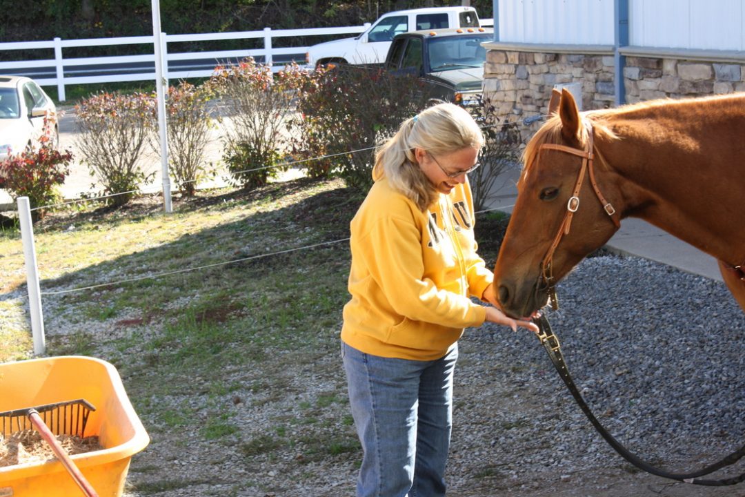 Boarding Kraus Farms, Inc. Horse Boarding in St. Louis, MO